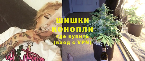 PSILOCYBIN Армянск
